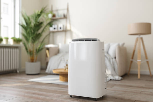 Best HVAC air duct cleaning  in Dorr, MI